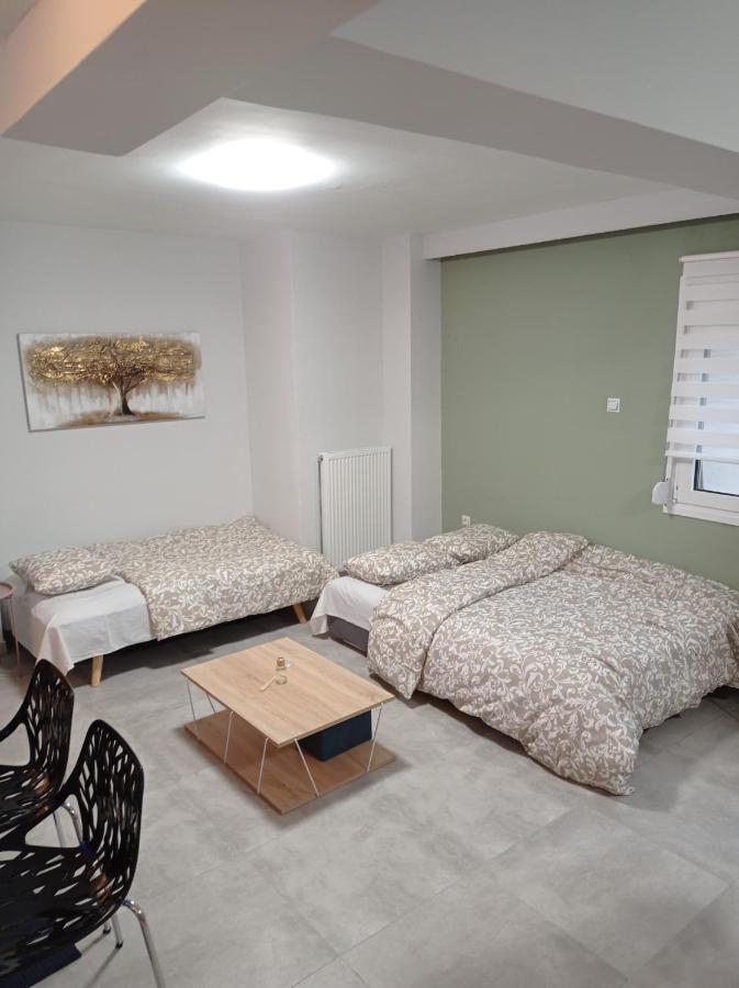 Central Home Трикала Экстерьер фото